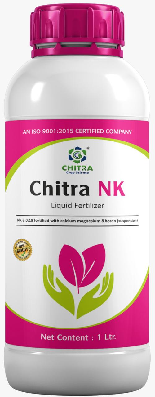 CHITRA NK