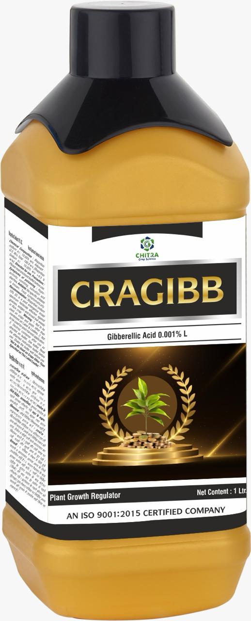 CRAGIBB