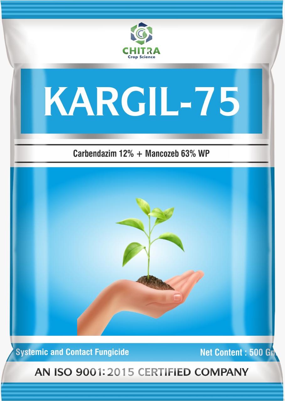 KARGIL-75