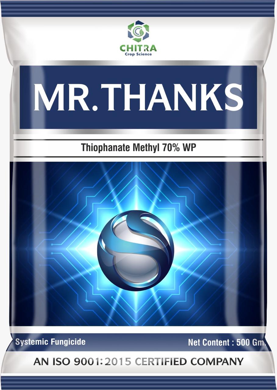 MR. THANKS