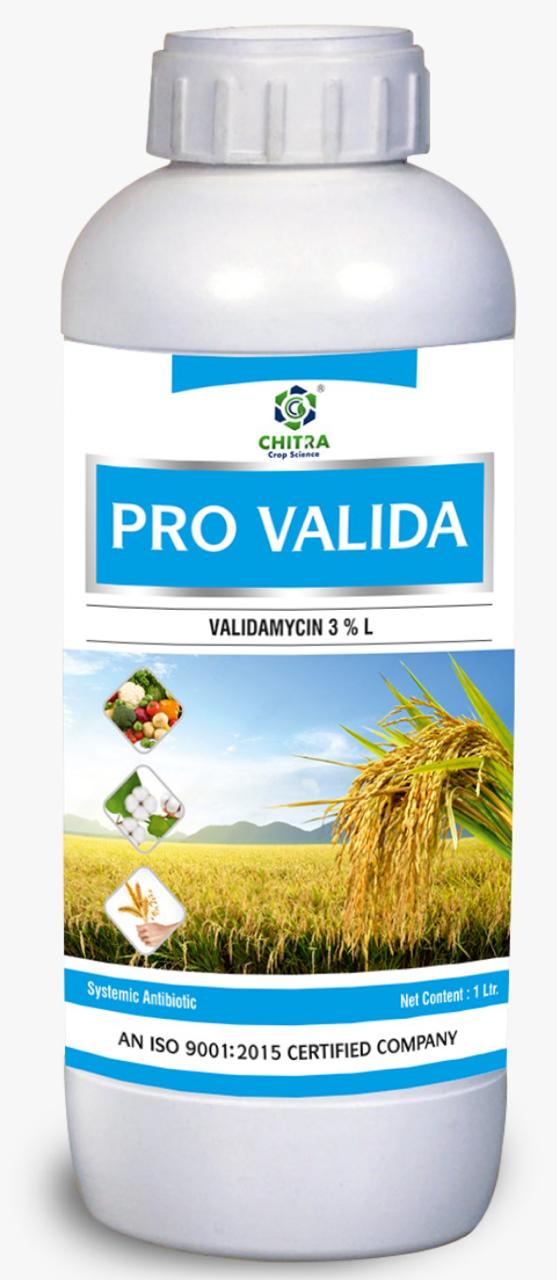 PRO VALIDA