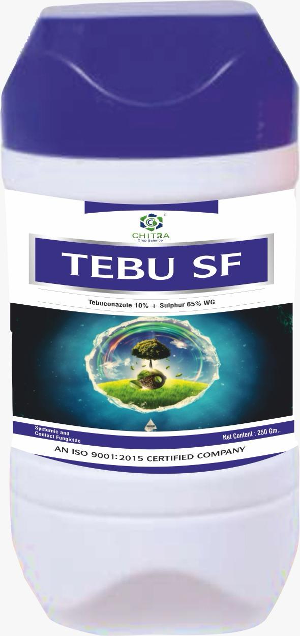 TEBU SF